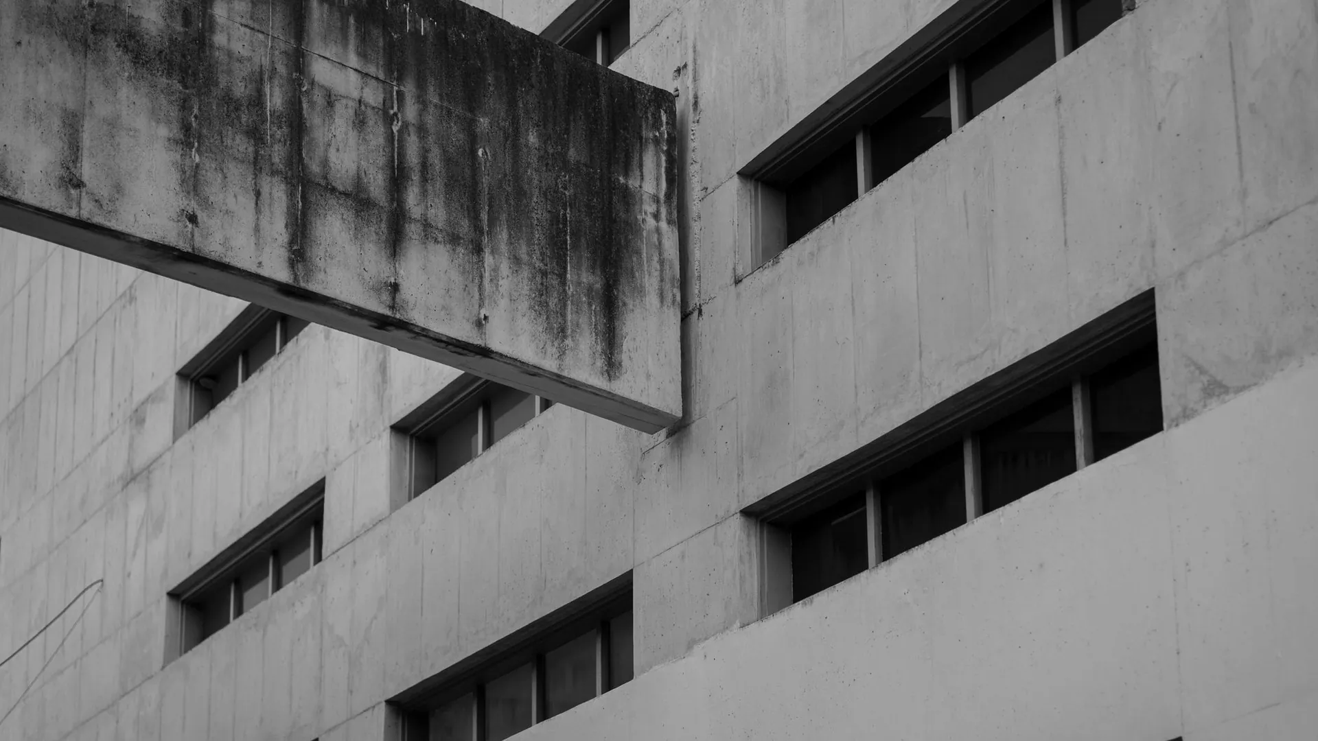 Concrete Lines