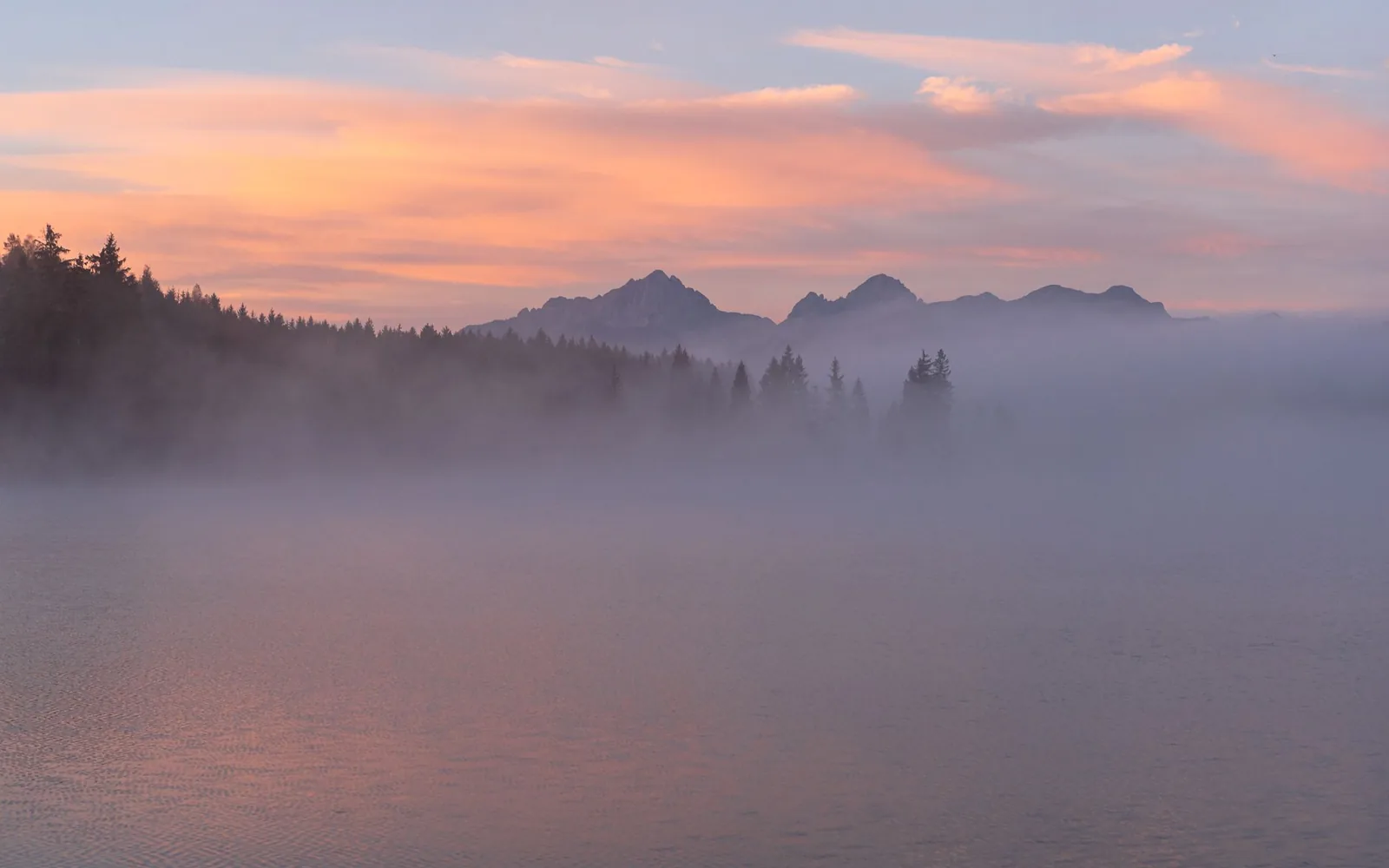 Mist over the lake