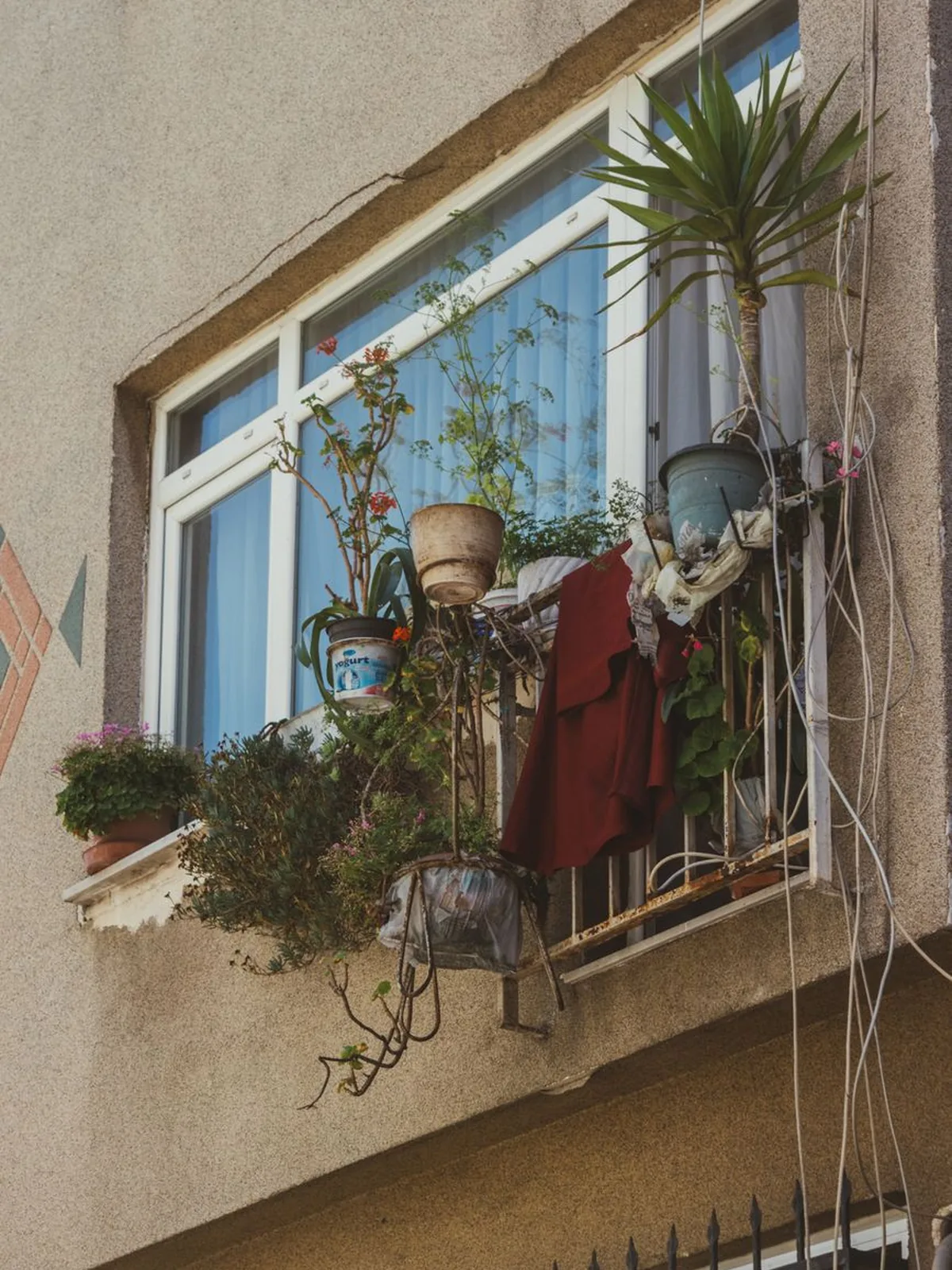 The sunny balcony
