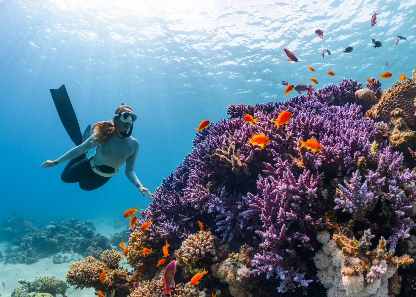 Morning on the reef