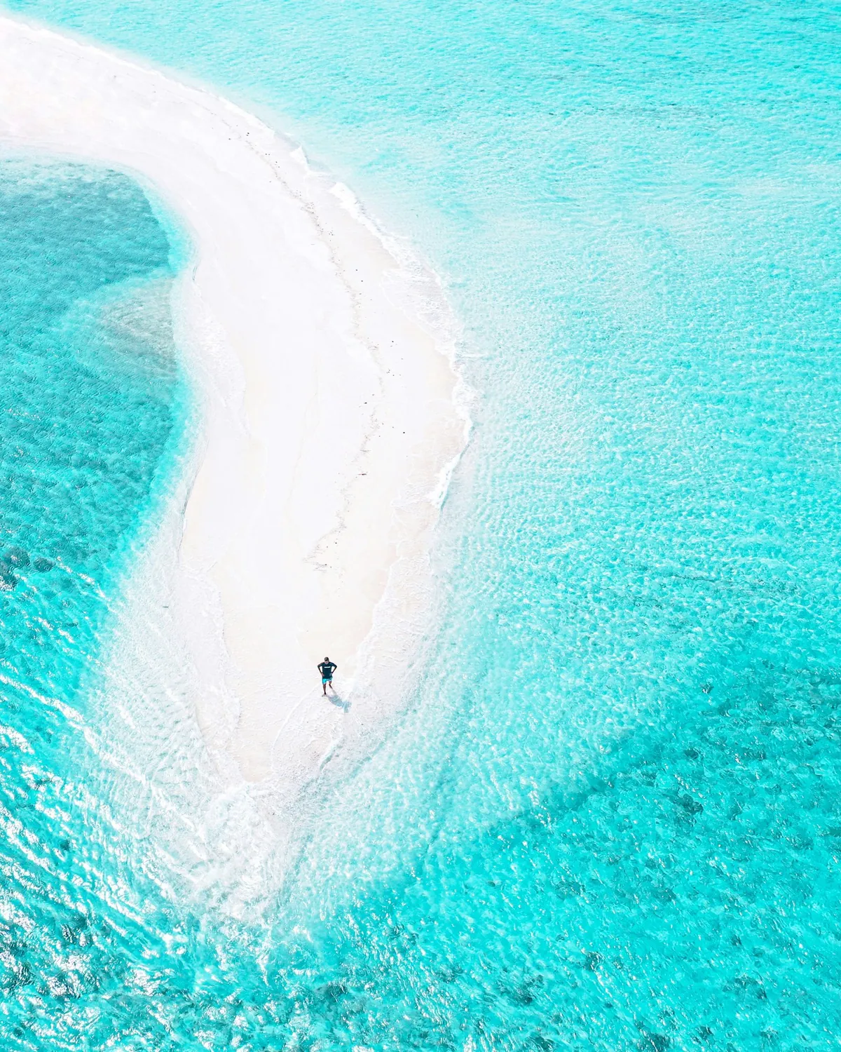 Sandbank Picnic