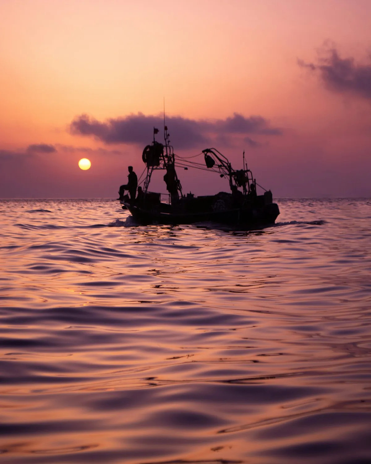 Sunset Fishing