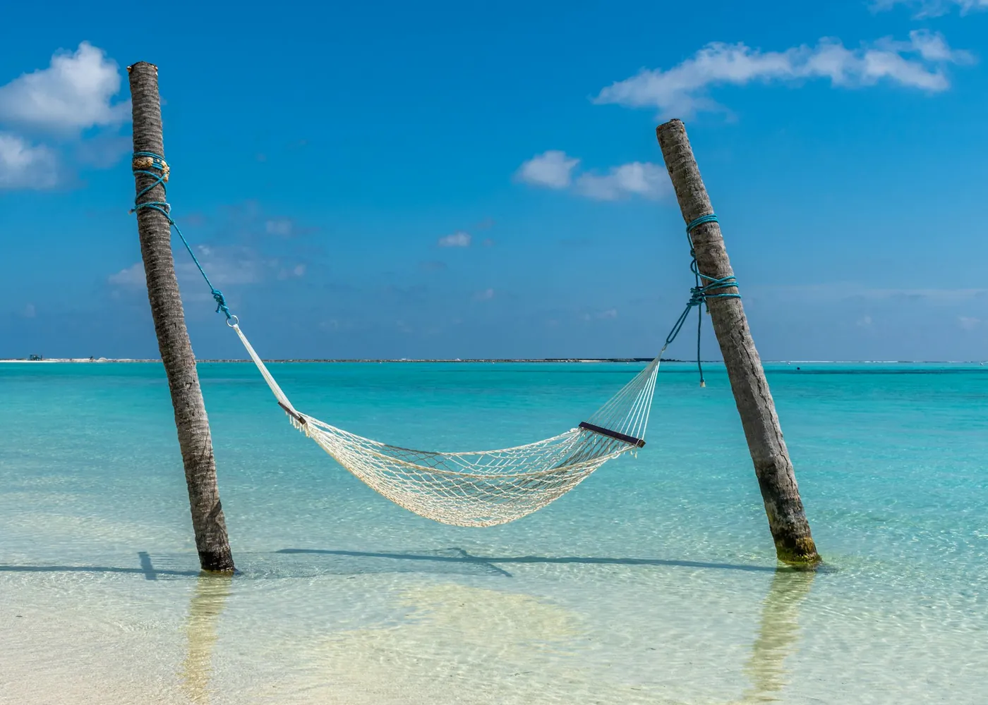 A hammock in the shallows