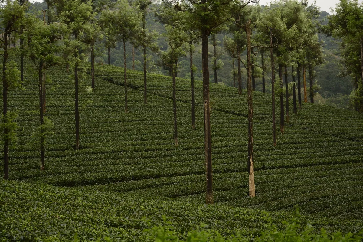 Coimbatore