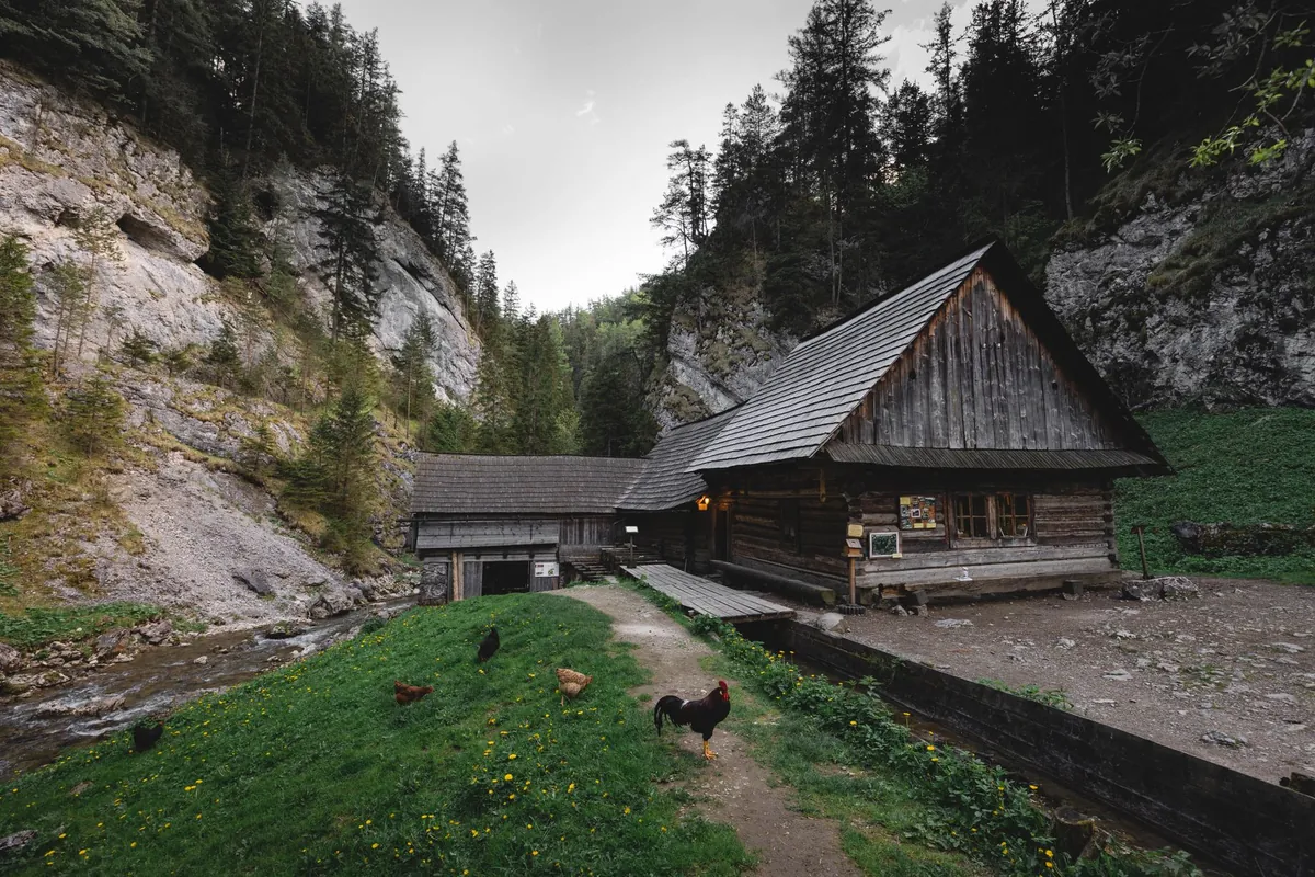 Riverstone Homestay