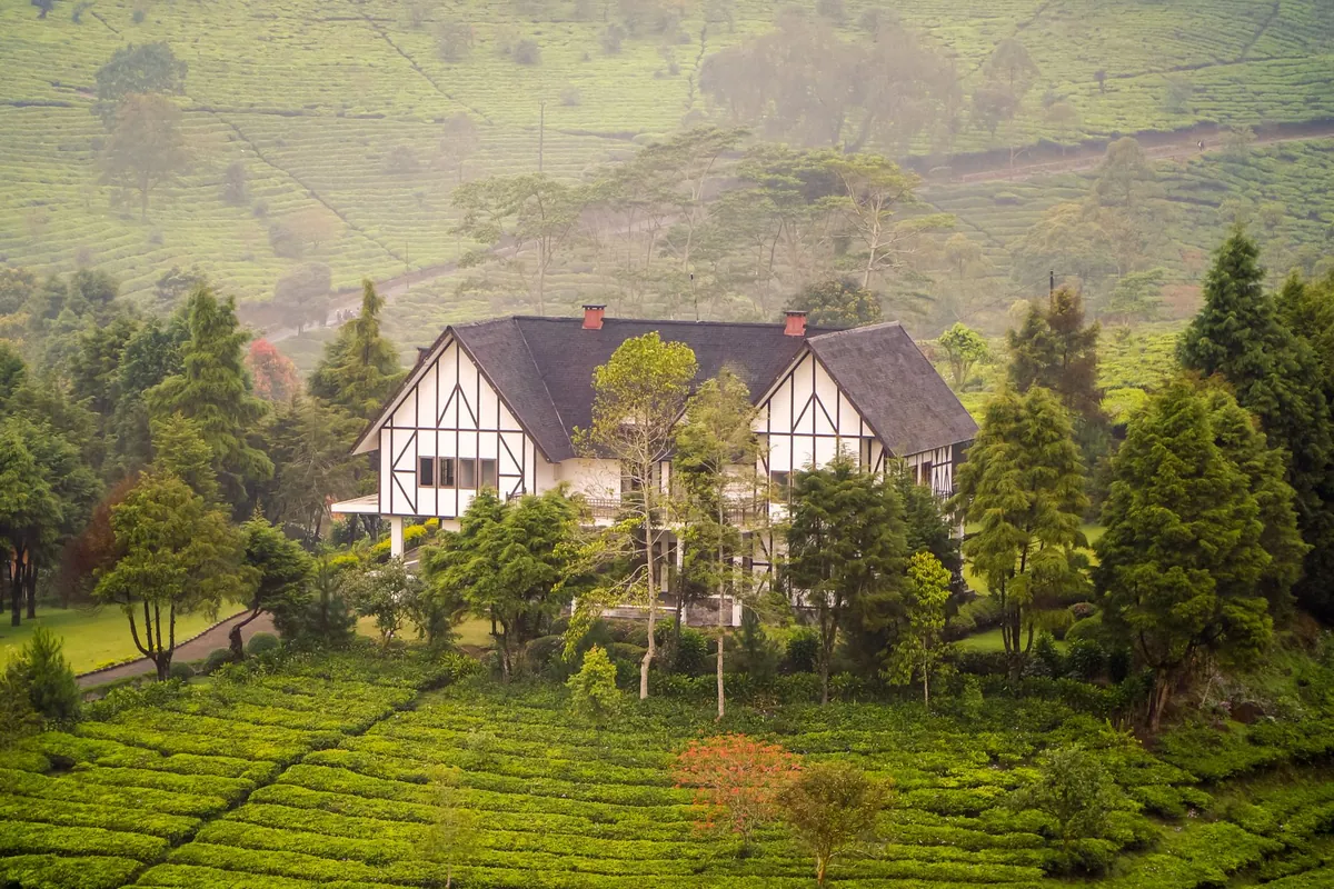 Tea Terrace Bungalow