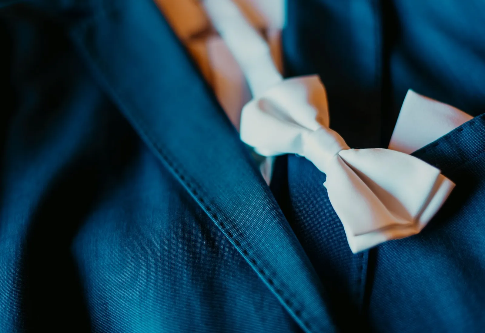 Silk Bow Tie