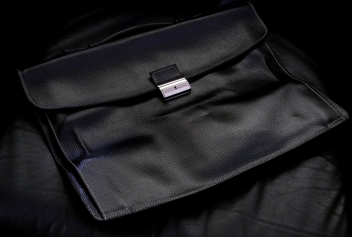 Soiree Portfolio Clutch