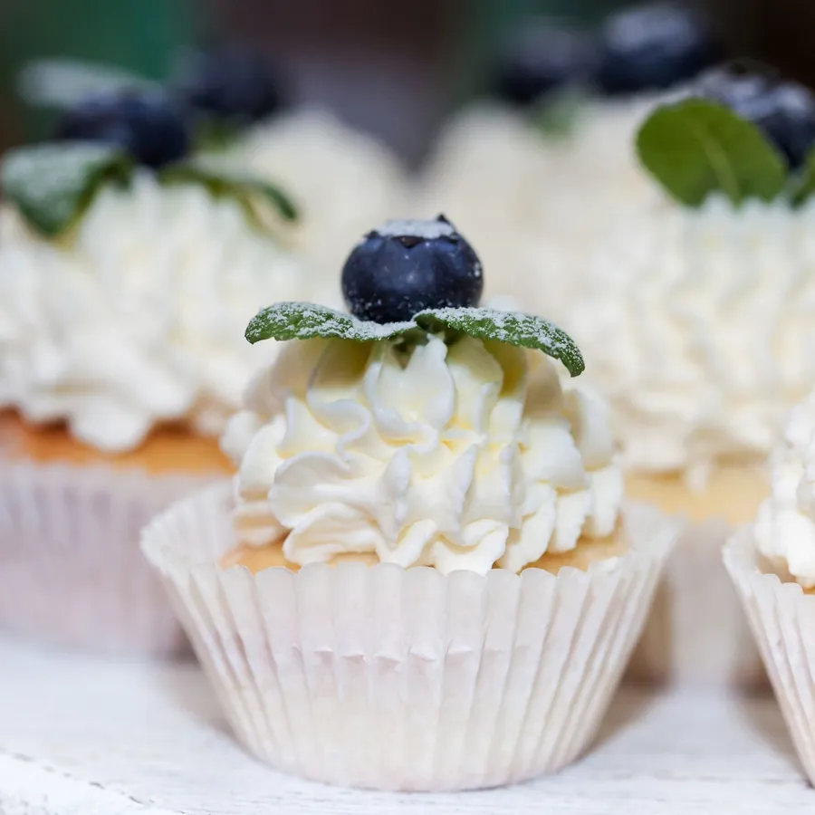 Vanilla Blueberry Cupcake