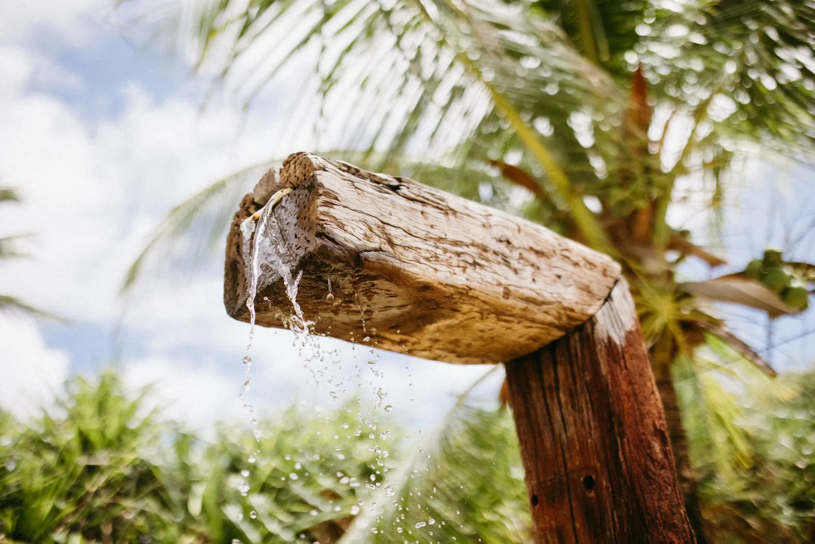 Garden shower