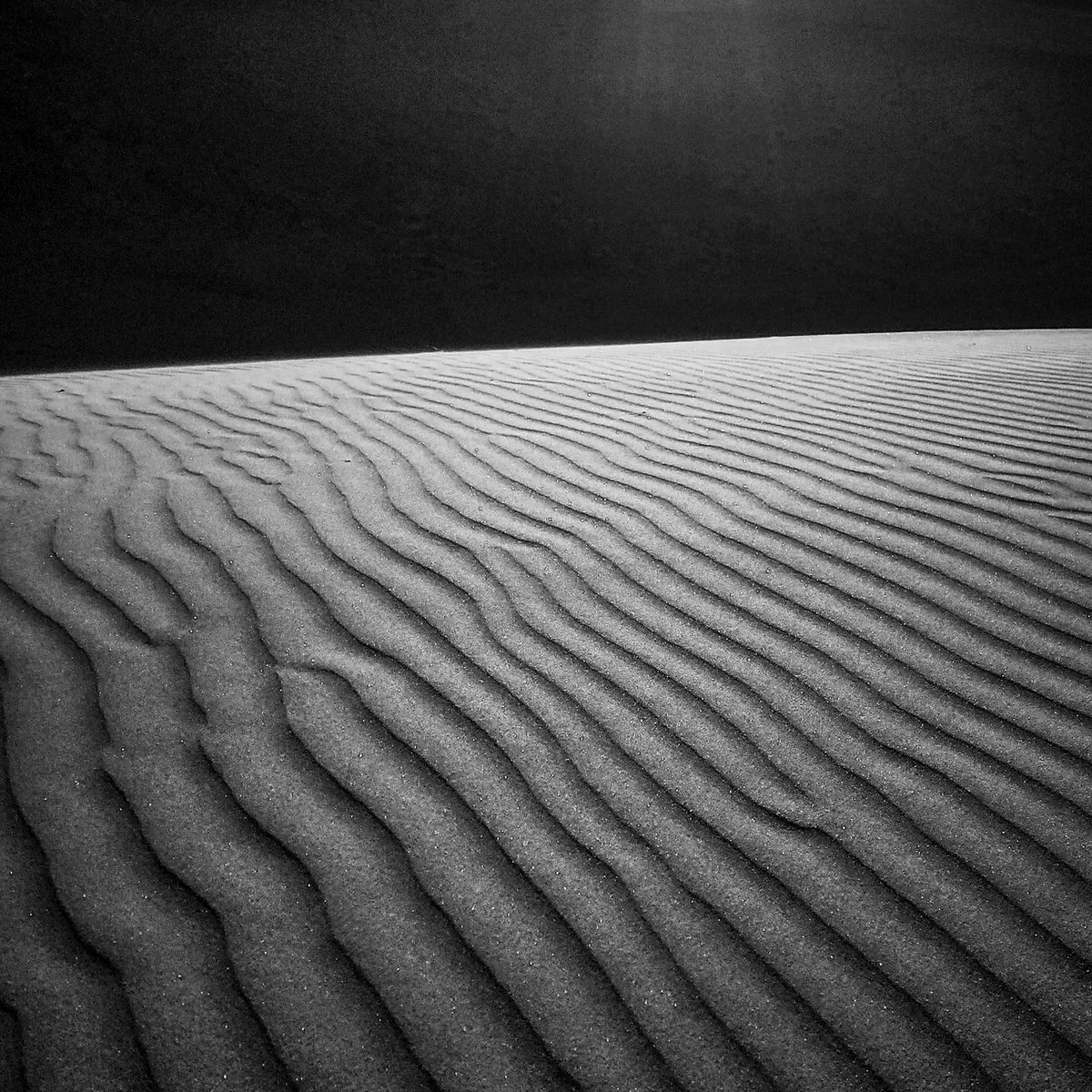 Salt Ripple
