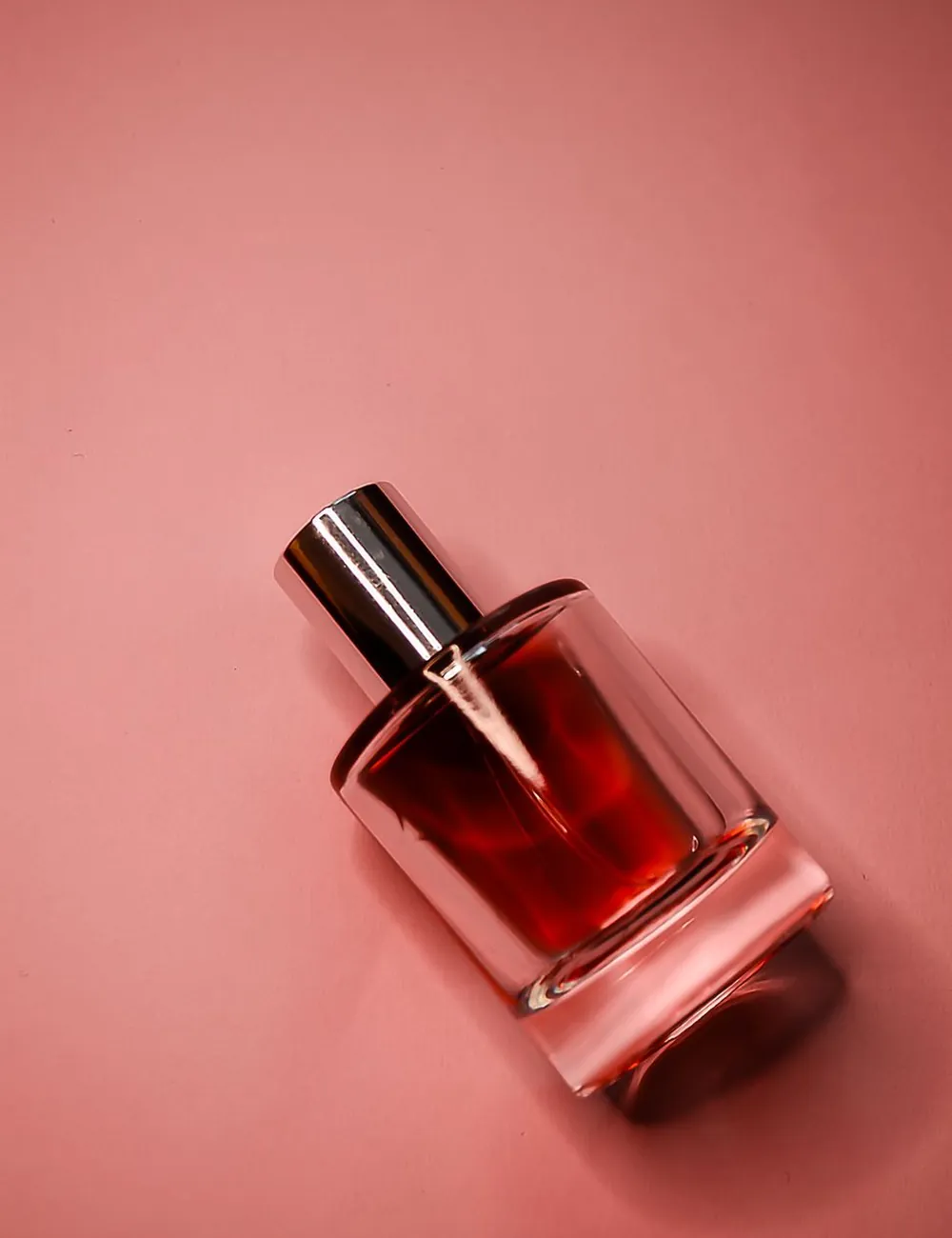 Petal Theory — Web / Creative Direction