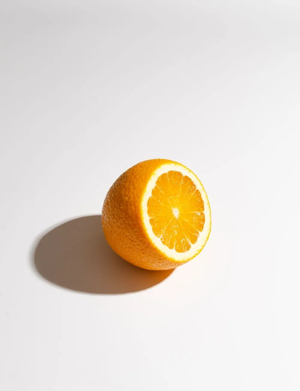 Orchard Lane — Branding / Web