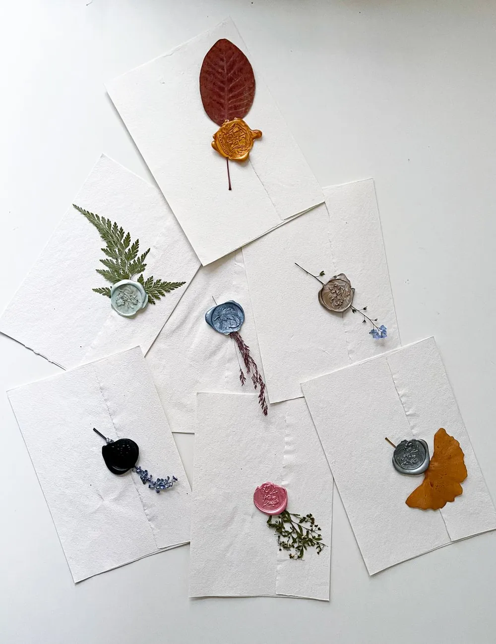 Verdant Collective — overview
