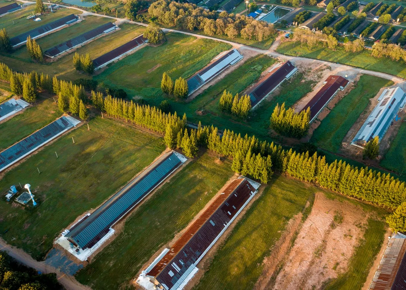 Krishna Valley Farm Cluster