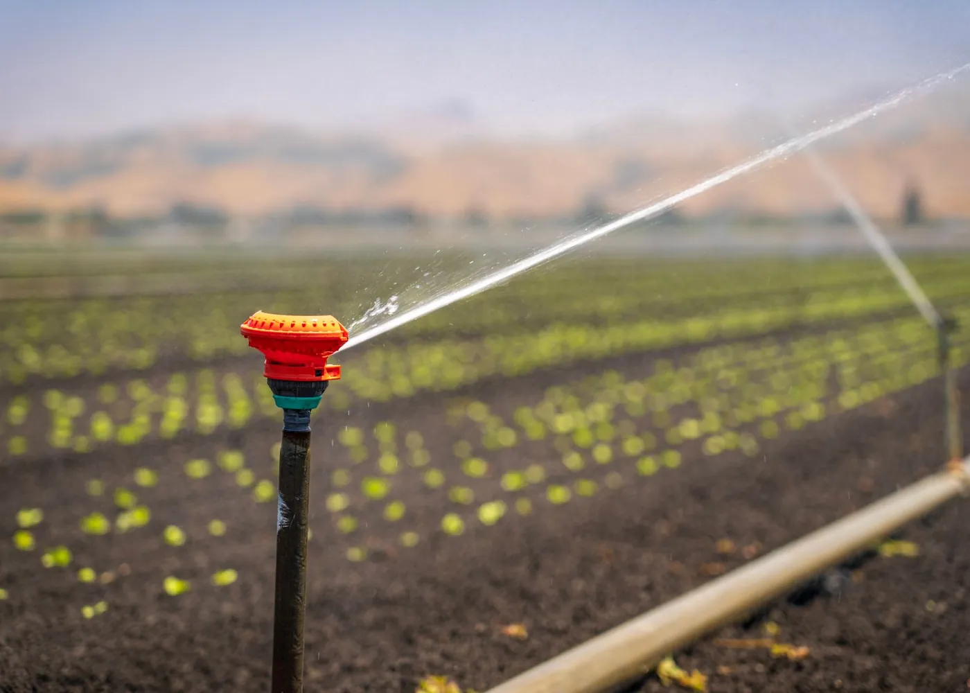 Solar pumps under PM-KUSUM: what farmers should know