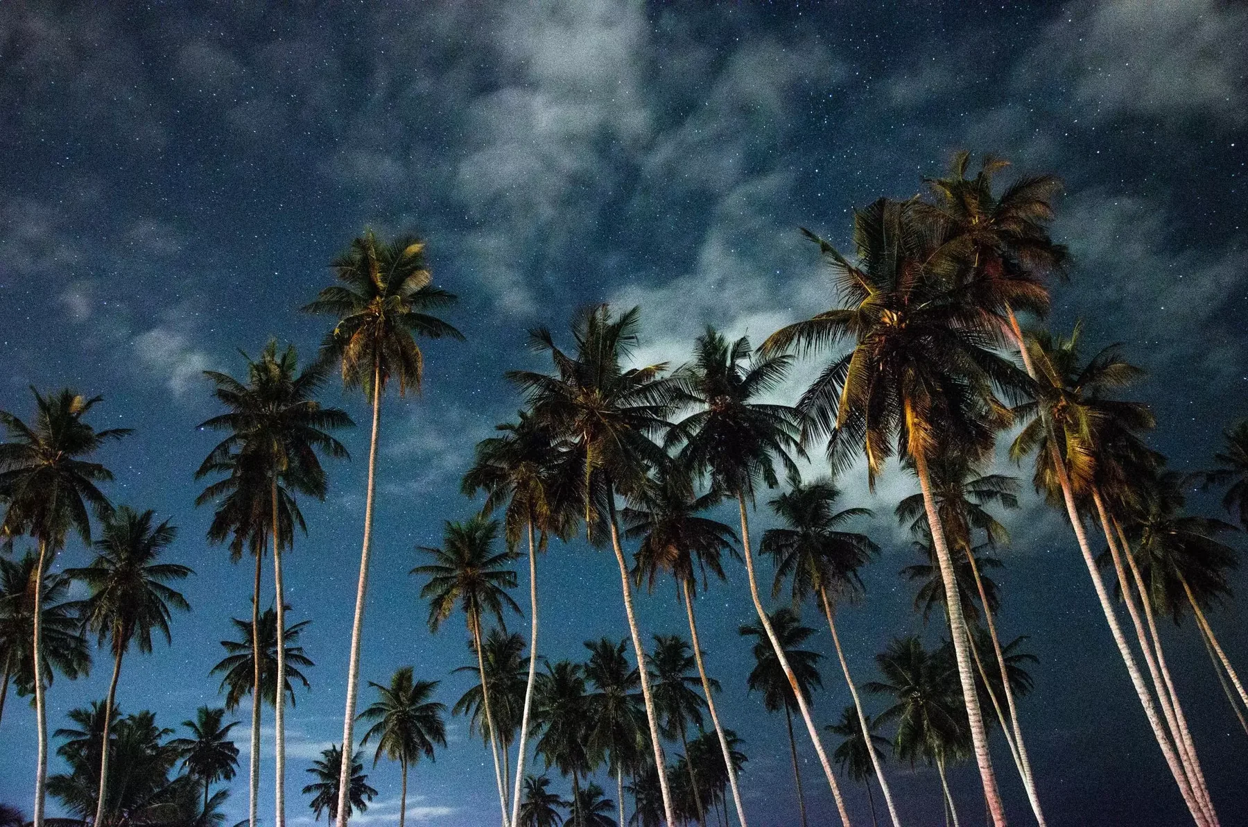A day shaped by the light.