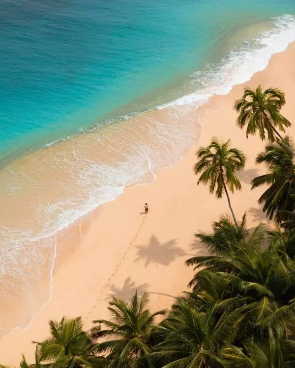 The island shoreline