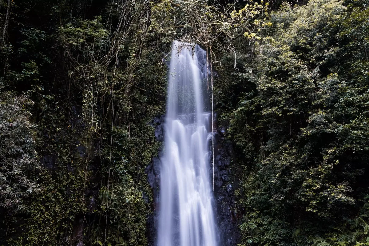 A waterfall in a lush tropical forest
