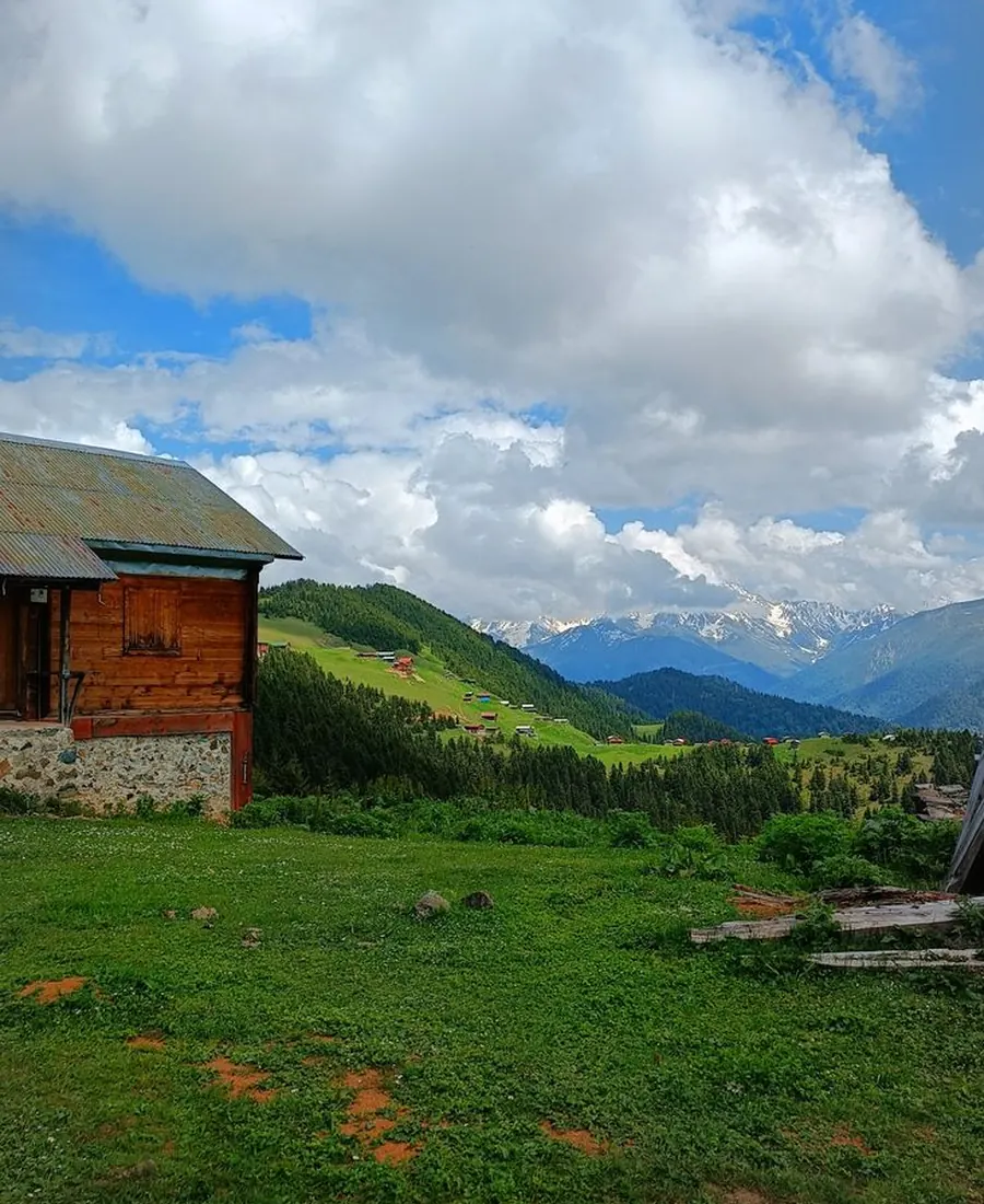 Cloud Nine Cabin