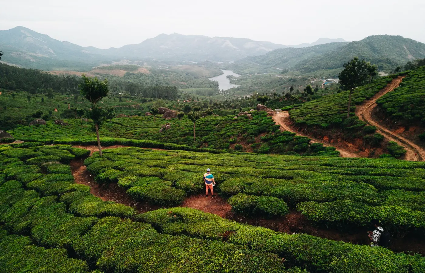 Coorg