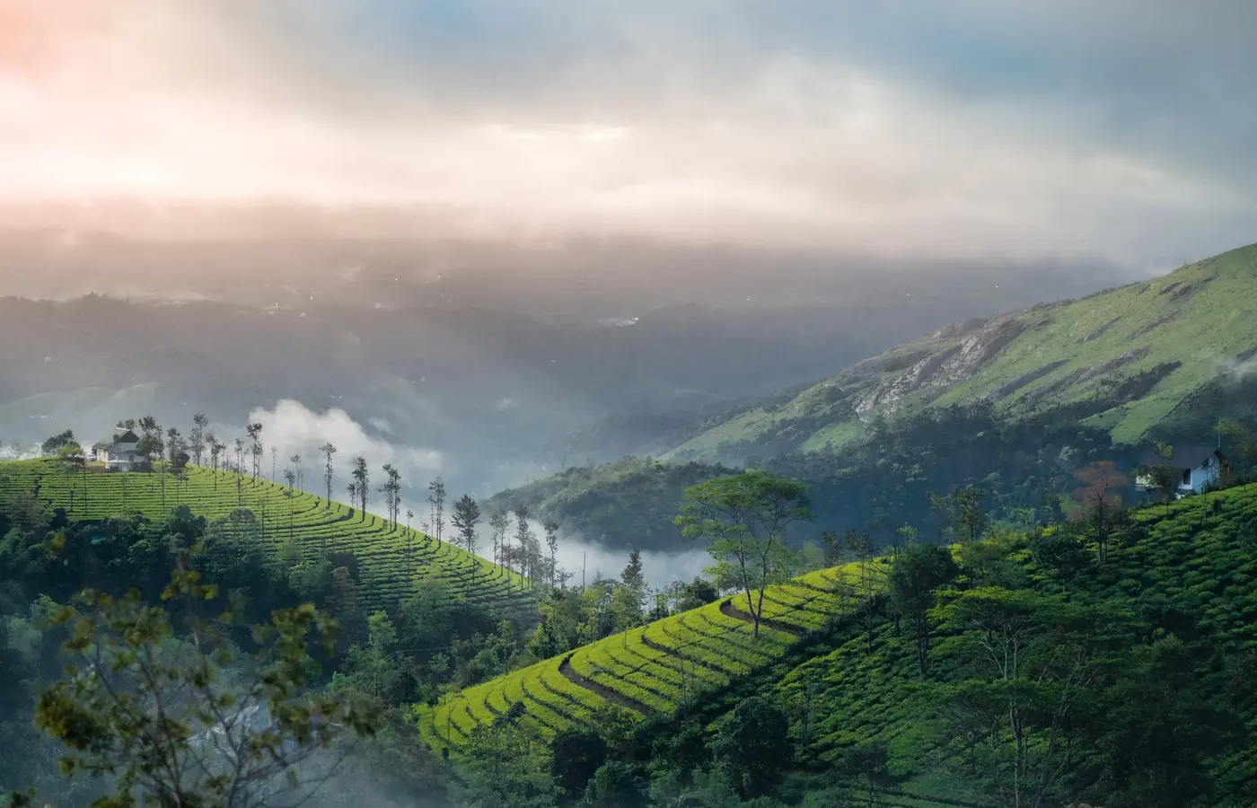 Munnar