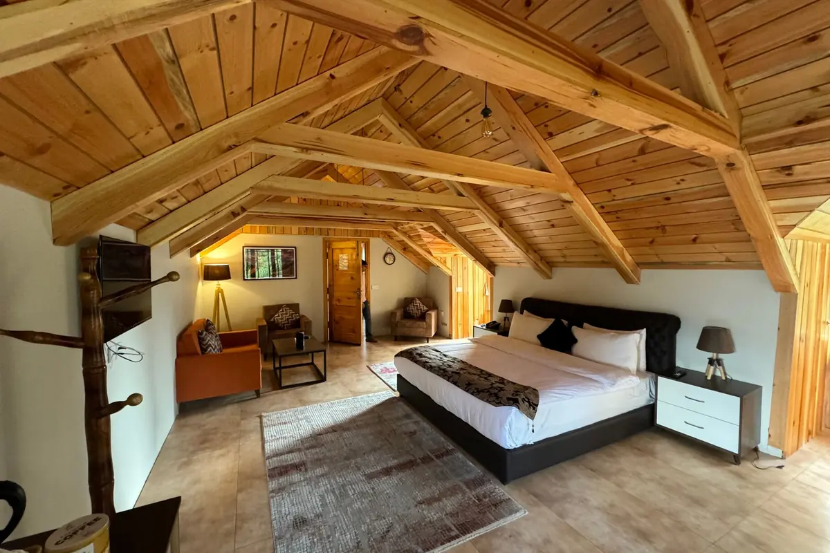 Slate Roof House