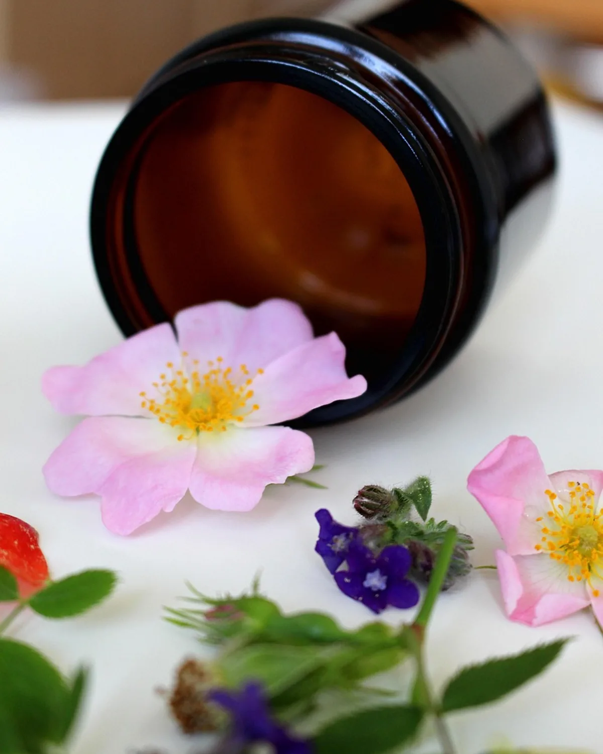 Bakuchiol Night Cream