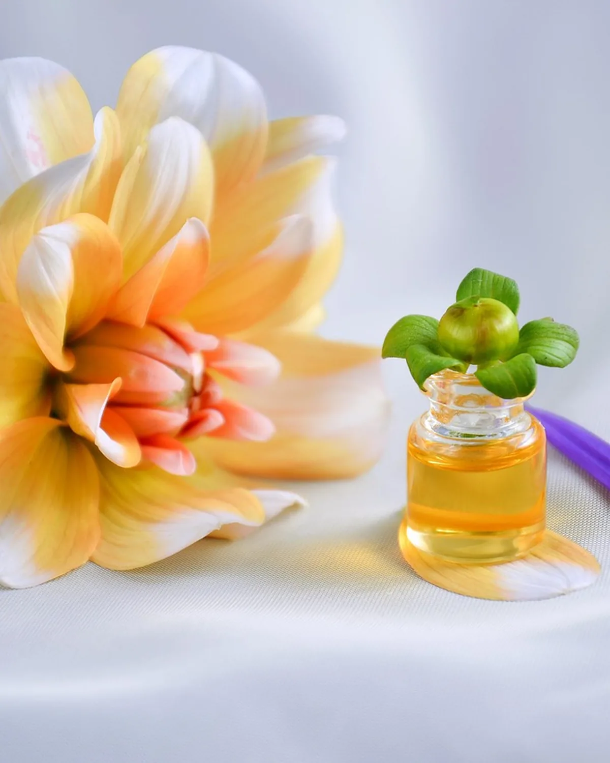 Saffron Radiance Night Oil