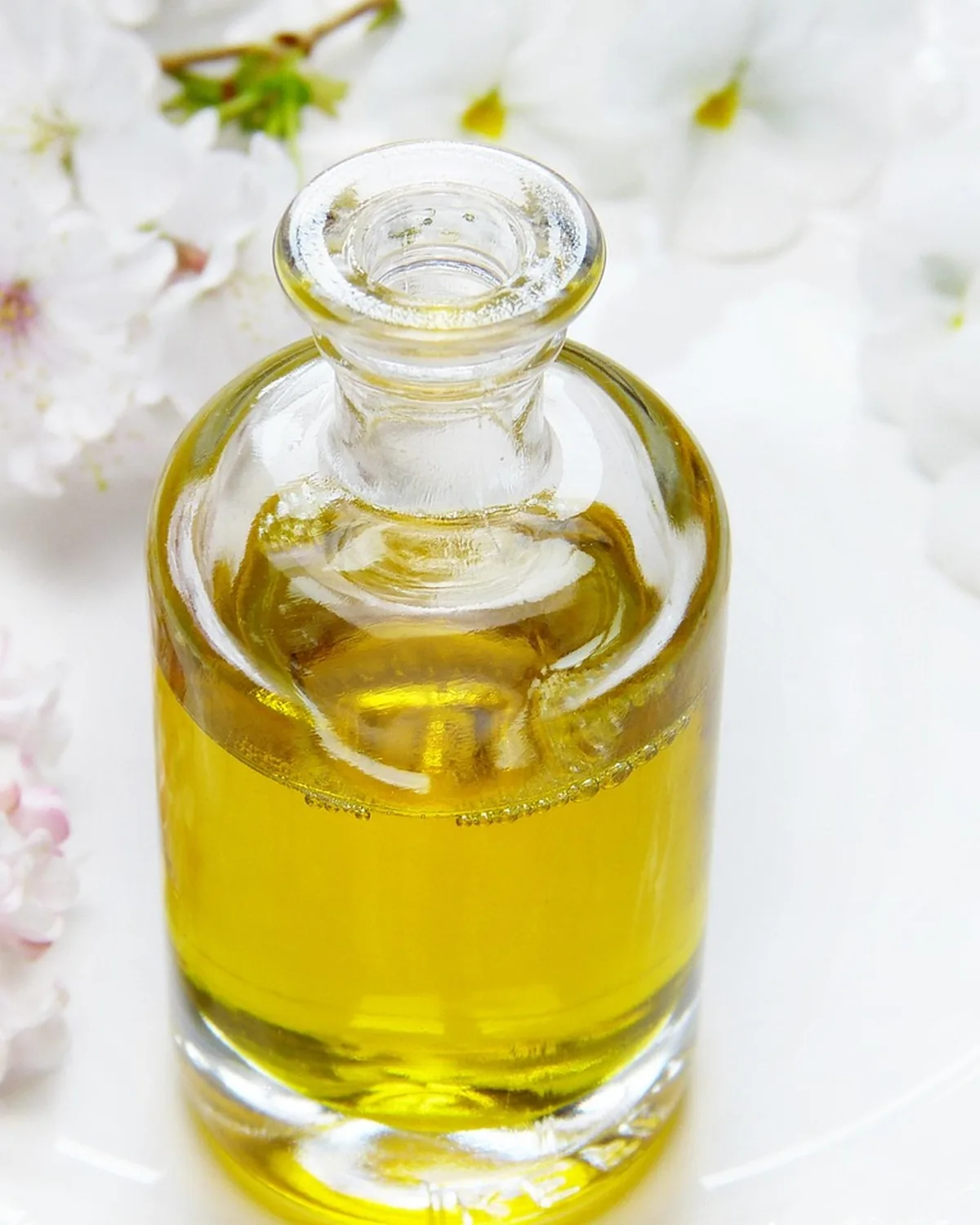 Jojoba Balancing Face Oil