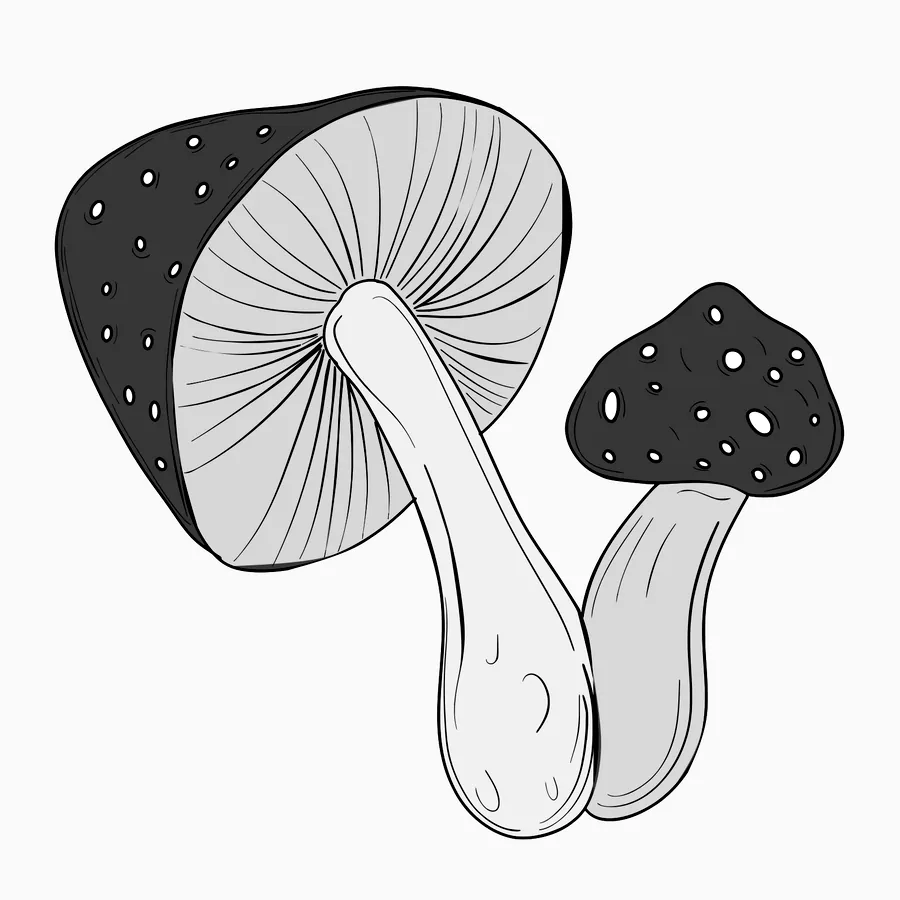 Mushroom pair, flash design by Mara D'Souza