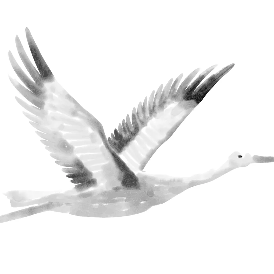 Flying crane, flash design by Yuki Arai