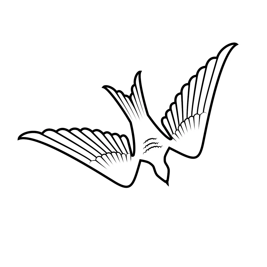 Swallow, flash design by Rohan Bhatt